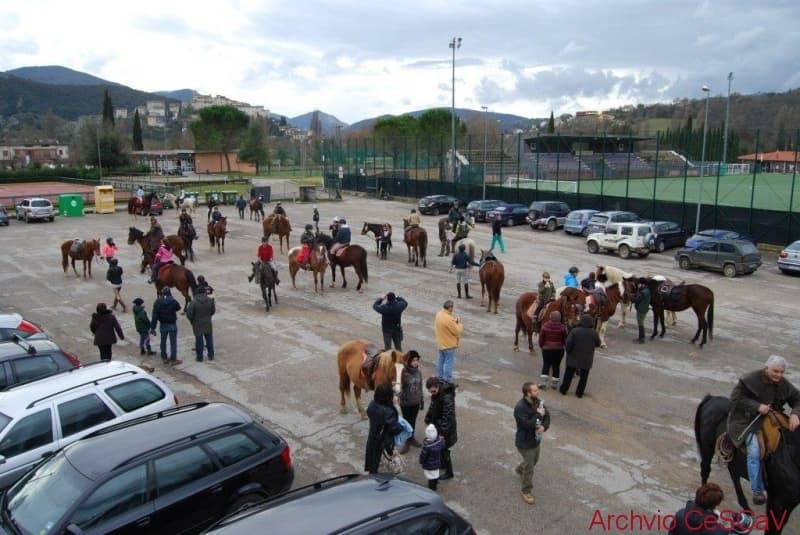 Festa di Sant’Antonio Abate 2013